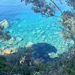 Sea Dream Kolocep