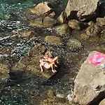 بيت ضيافة Sea Dream Kolocep