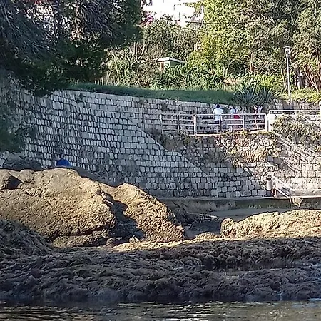 Affittacamere Sea Dream Koločep Gornje Celo