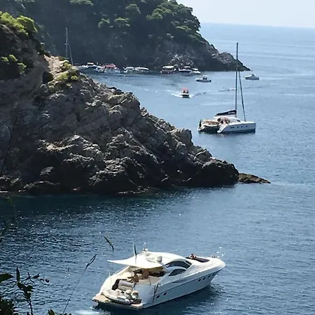 Sea Dream Koločep 3* Gornje Celo