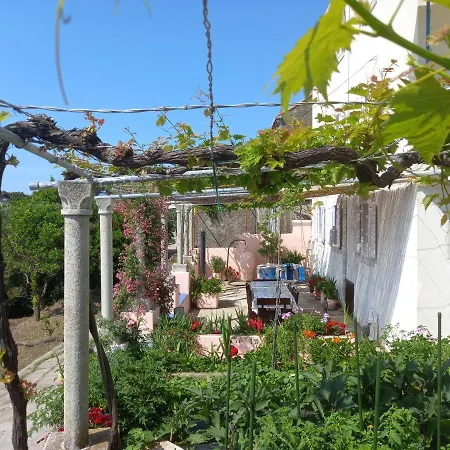 Sea Dream Kolocep 3* Gornje Čelo