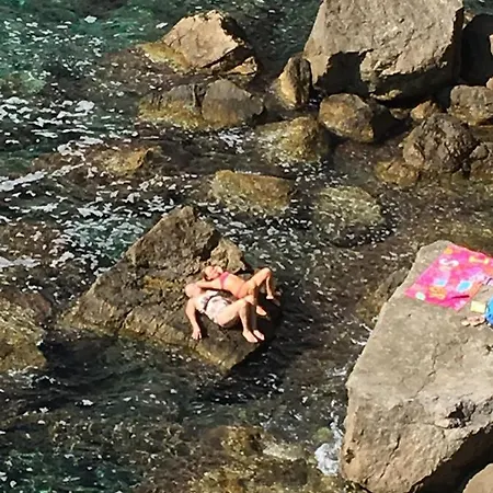 Pensionat Sea Dream Kolocep