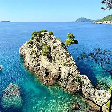 Sea Dream Kolocep ゲストハウス