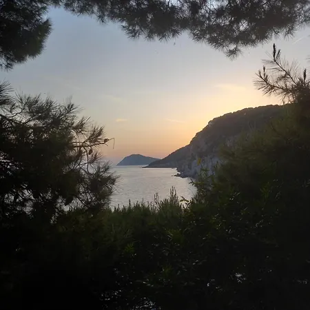 Sea Dream Kolocep 3*