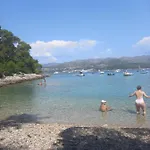 Sea Dream Kolocep