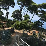 Sea Dream Kolocep 3*
