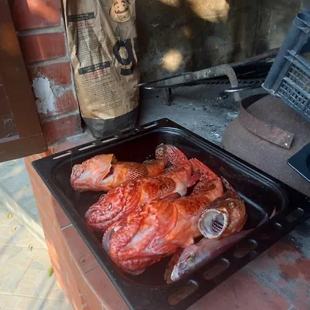 Sea Dream Kolocep 3* Gornje Celo