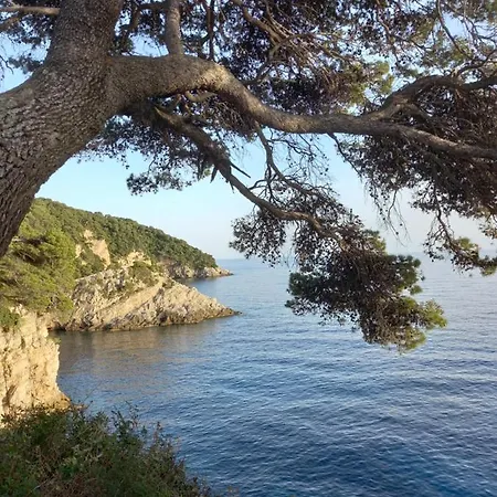 Sea Dream Kolocep 3*