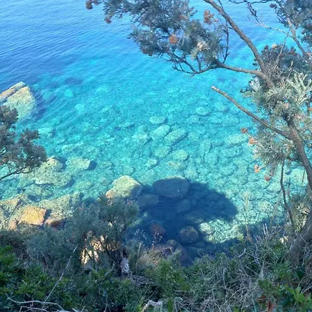 Sea Dream Kolocep