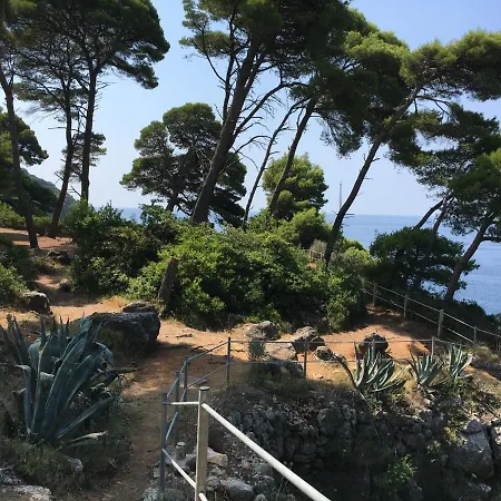 Sea Dream Kolocep 3*