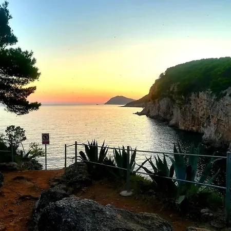 Sea Dream Kolocep 게스트하우스 Gornje Celo