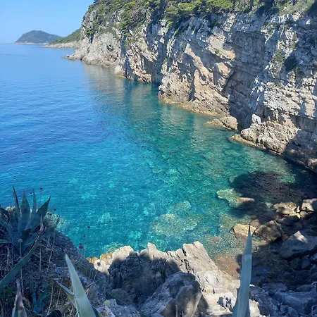 게스트하우스 Sea Dream Kolocep