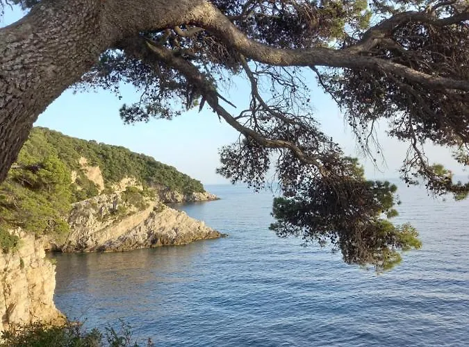 Sea Dream Kolocep 3*