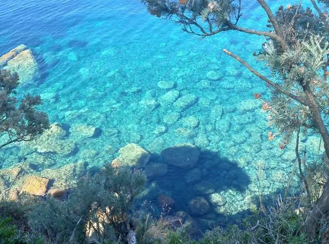 Sea Dream Kolocep